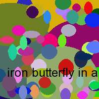 iron butterfly in a gadda da vida