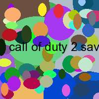 call of duty 2 savegame