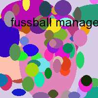 fussball manager 2003 code