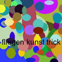 fliegen kunst trick